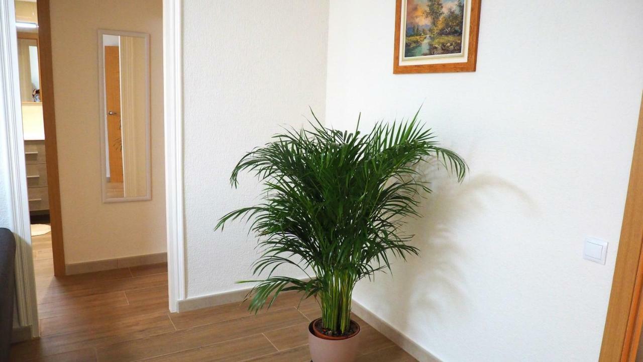 Apartamento En Ani Аликанте Экстерьер фото